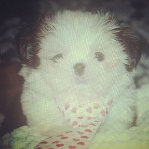 Meet your Posher, Lesa